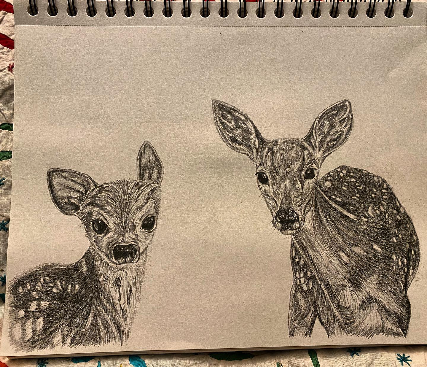 Part of a 'Animals of Champaign' series I had going
