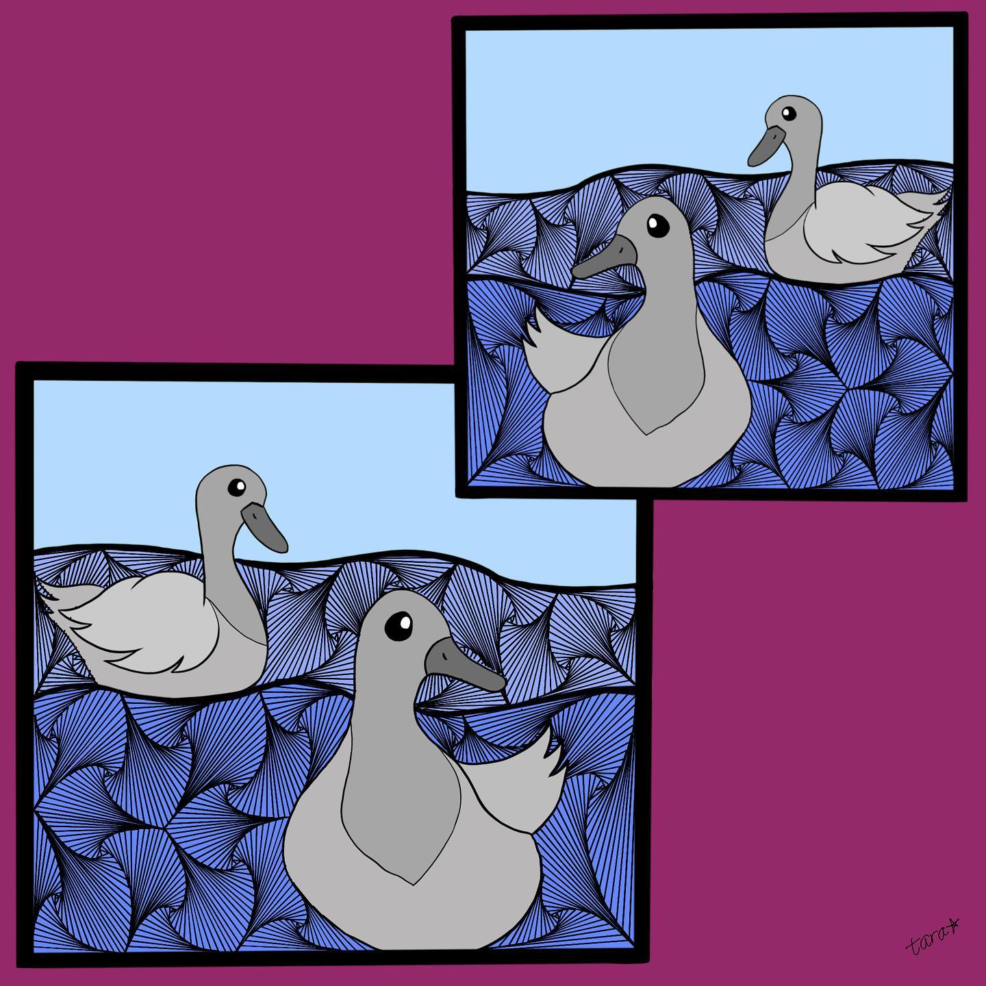 I saw some friendly ducks in UIUC on my daily walk