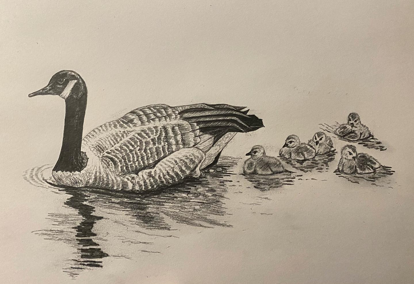 Part of a 'Animals of Champaign' series I had going