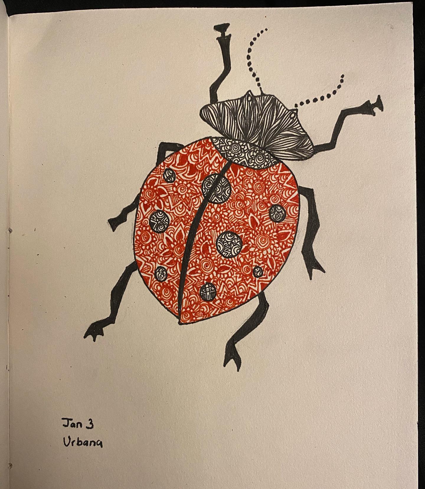 Abstract ladybug