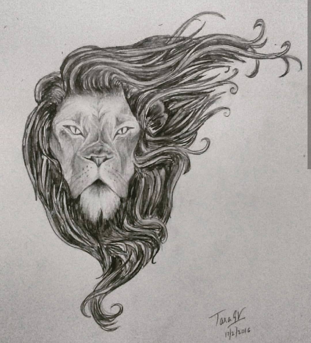 An old pencil sketch of a lion