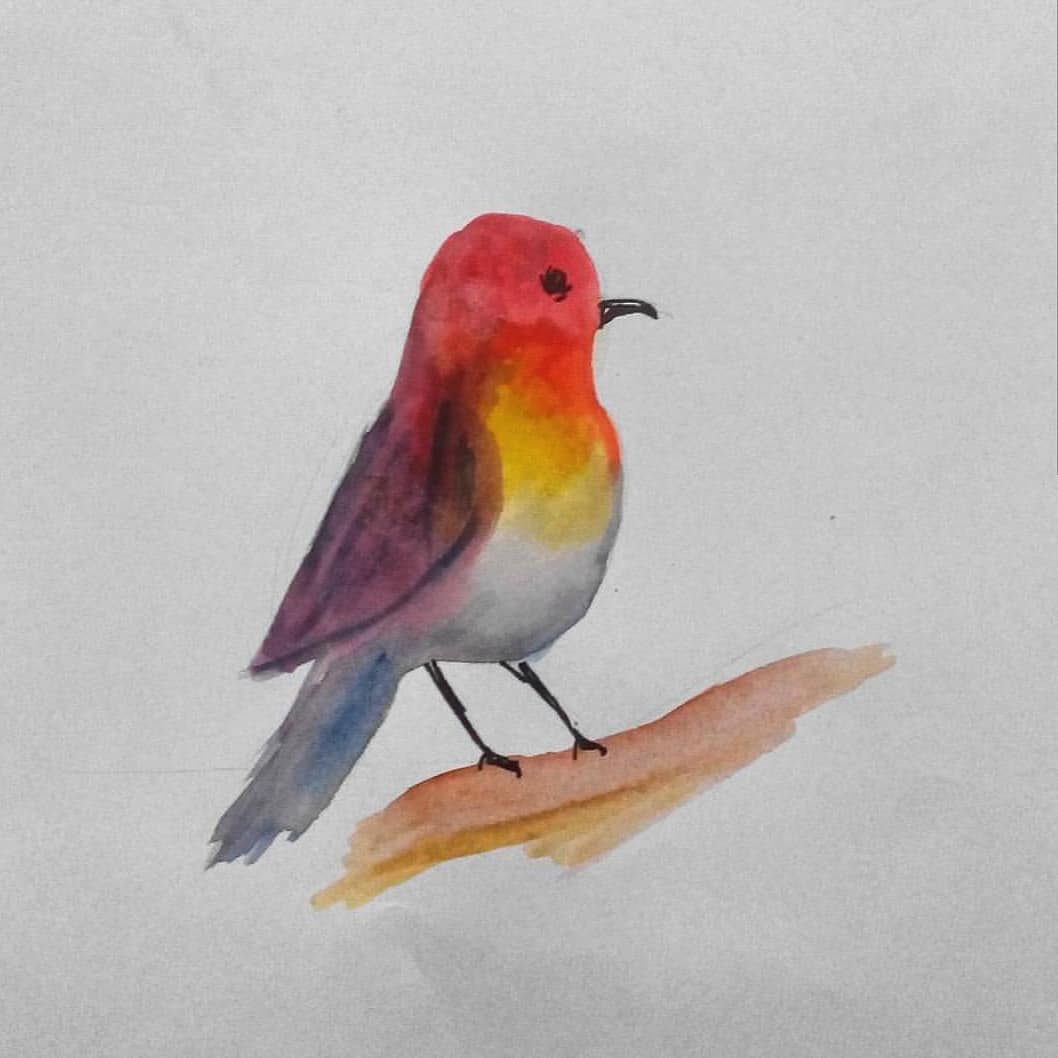 A watercolor sketch of a bird