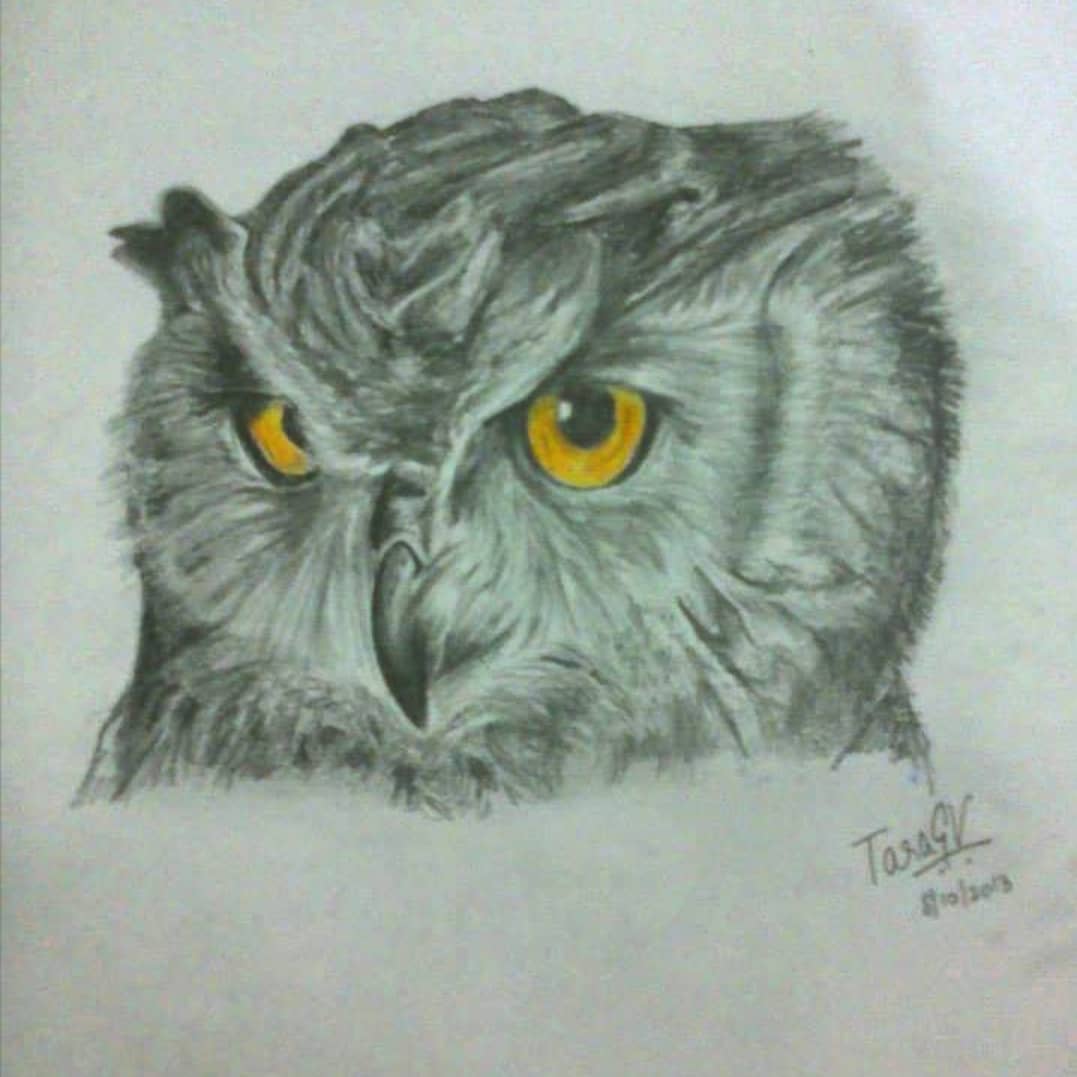 A very old drawing of an owl, evidenced by the camera quality