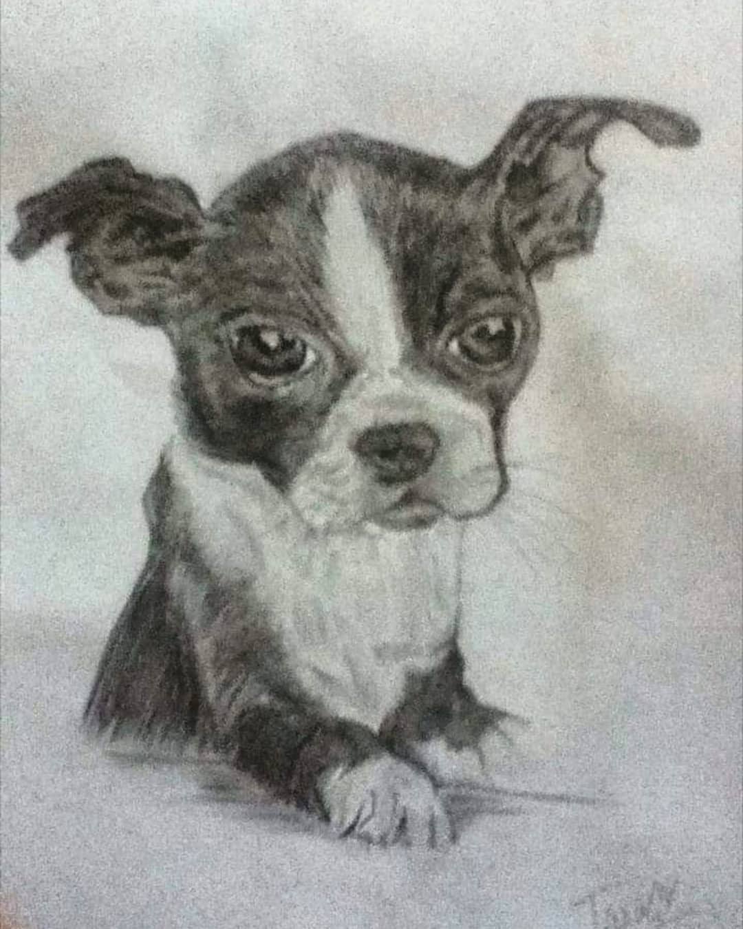 A very old drawing of a puppy, evidenced by the camera quality