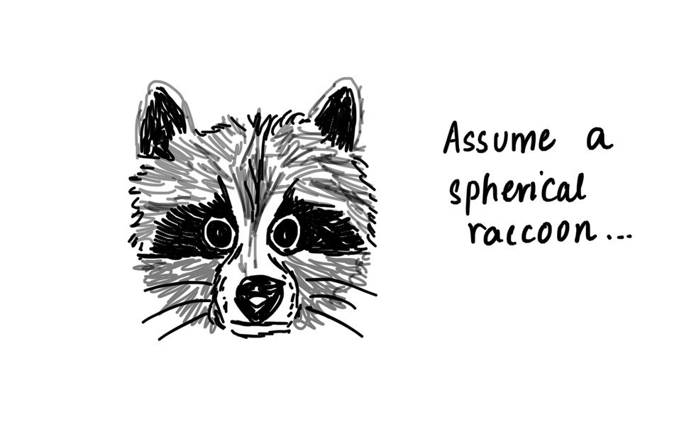 A twist on the classic 'Assume a spherical cow' physics joke. I tried to make the raccoon as spherical as possible