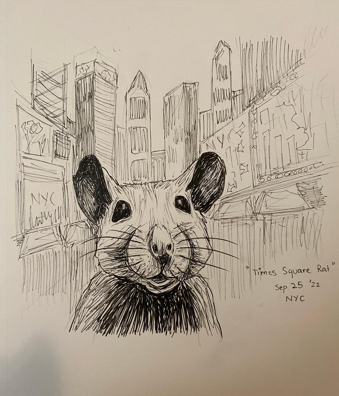 My first subway rat in NYC! Spotted in the Times Square subway station