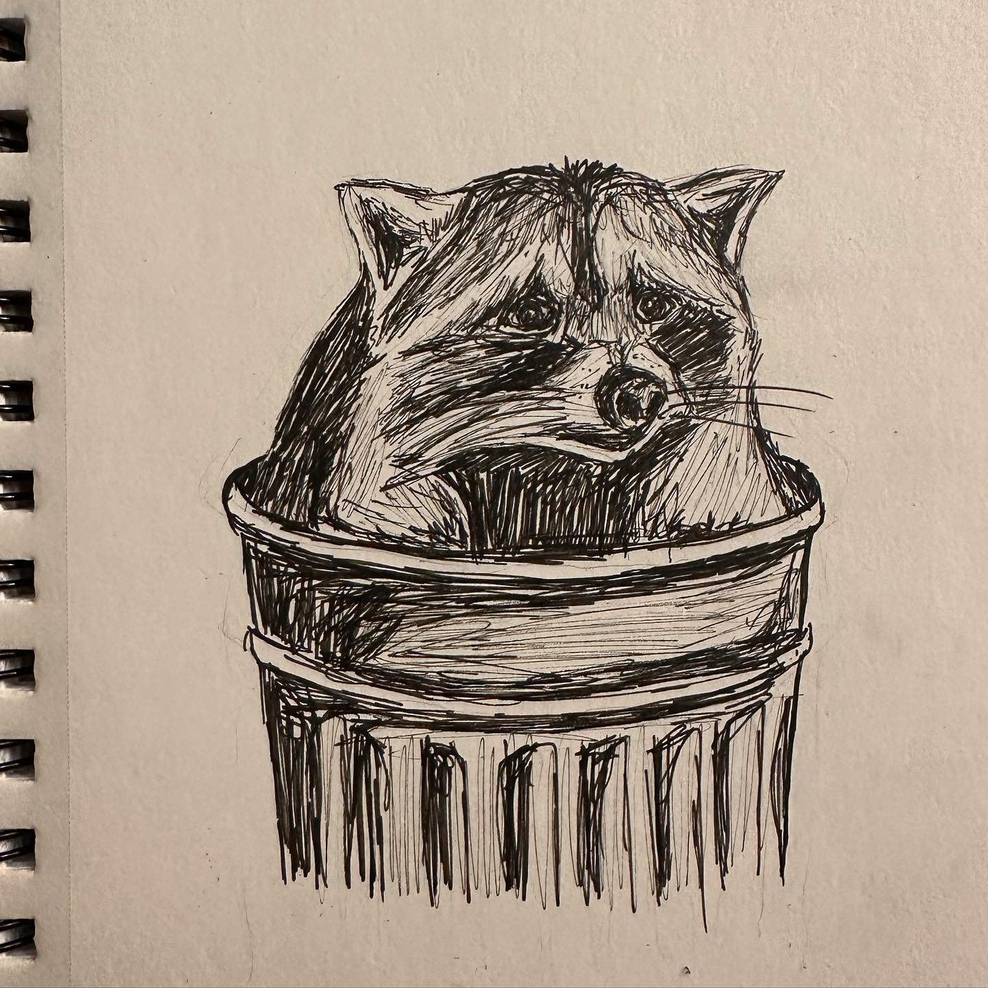 A racoon peeking out of a trashcan. The true spirit of a trash panda!