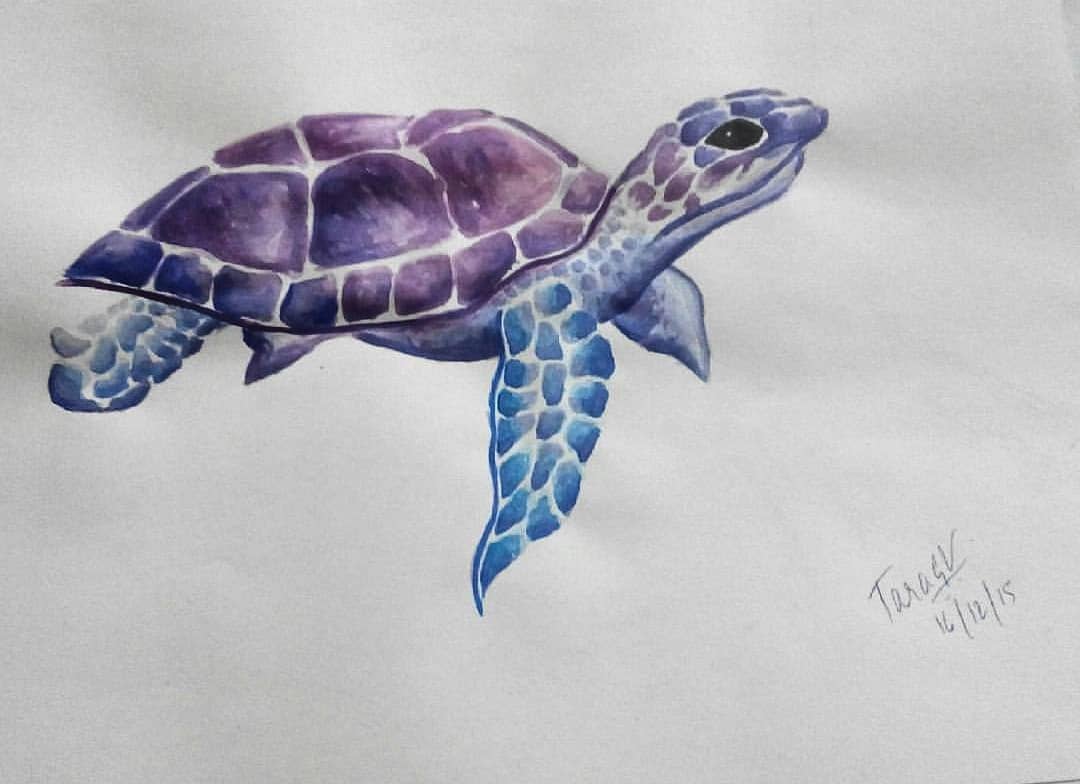 An watercolor sketch of a bird