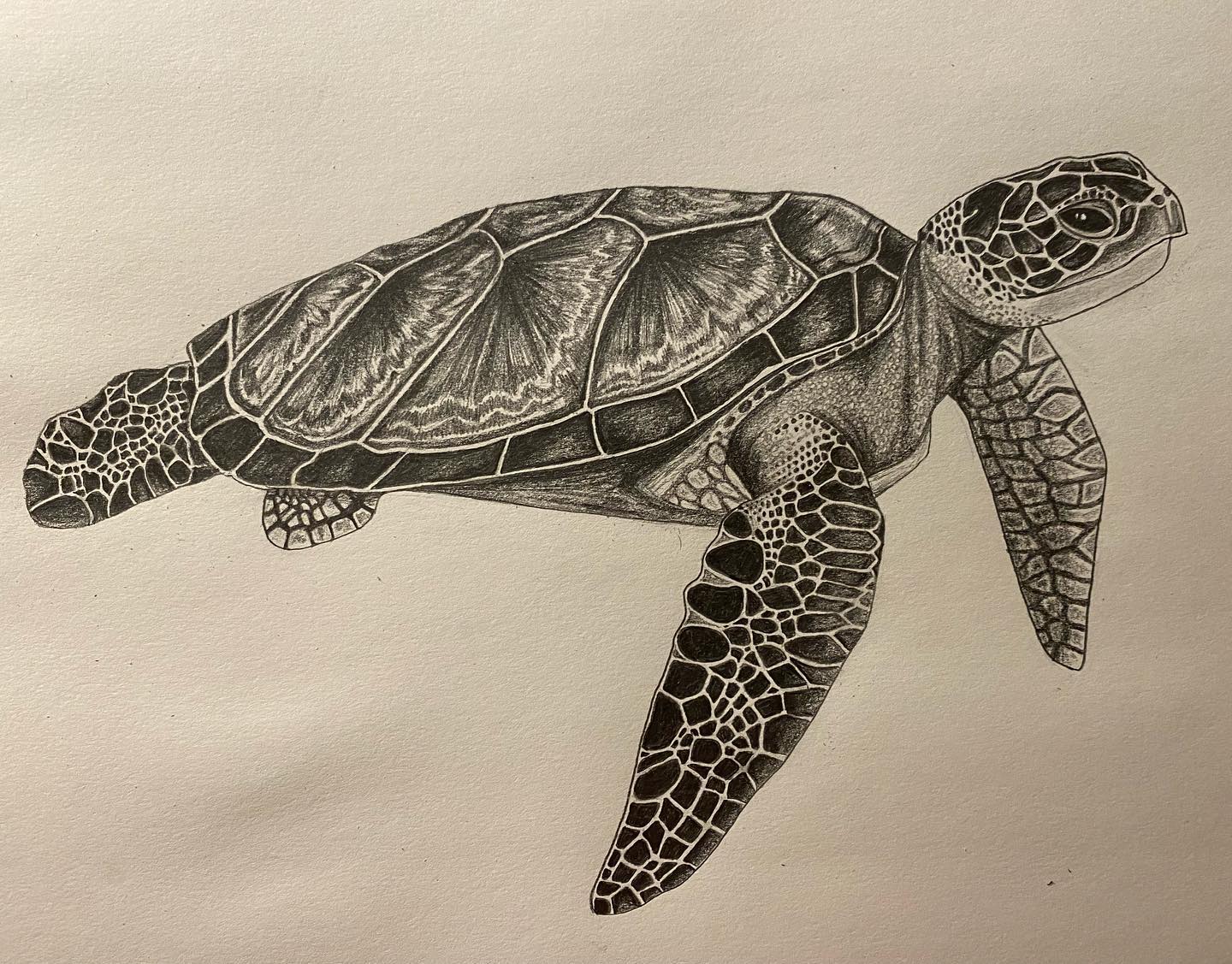 Part of a 'Animals of Champaign' series I had going