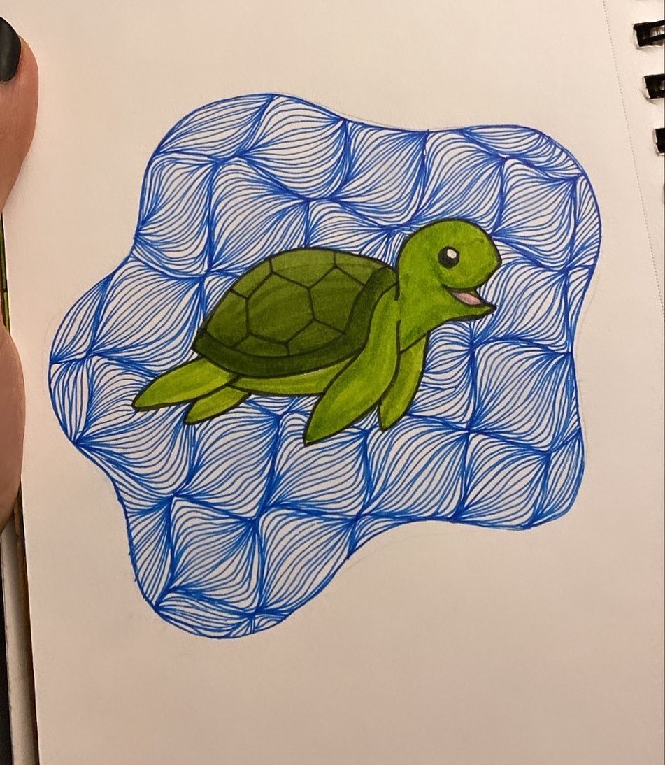 Turtle in Chicago