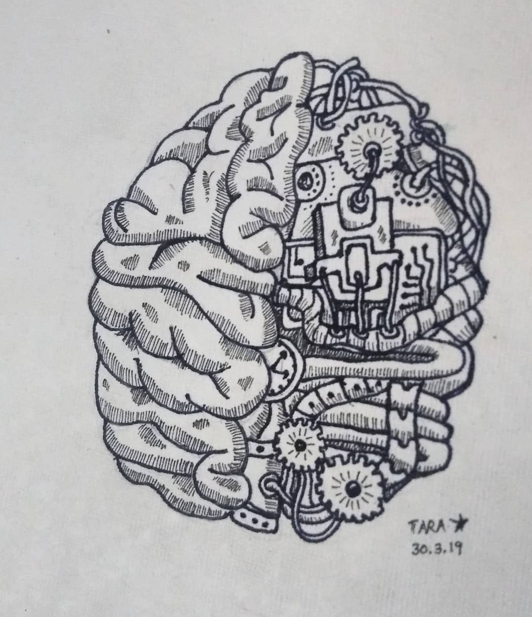 Brain sketch